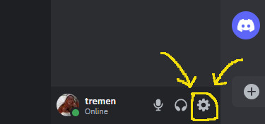 A partial screen capture of the main discord app with the icon for User Settingshighlighted