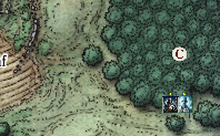 A map showing Tremen and Tarqual about to enter the wood next to Alderleaf farm